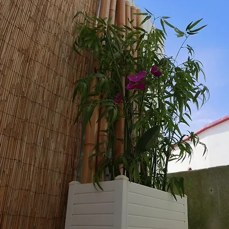 Prázdninový dům Casa Do Cabeta